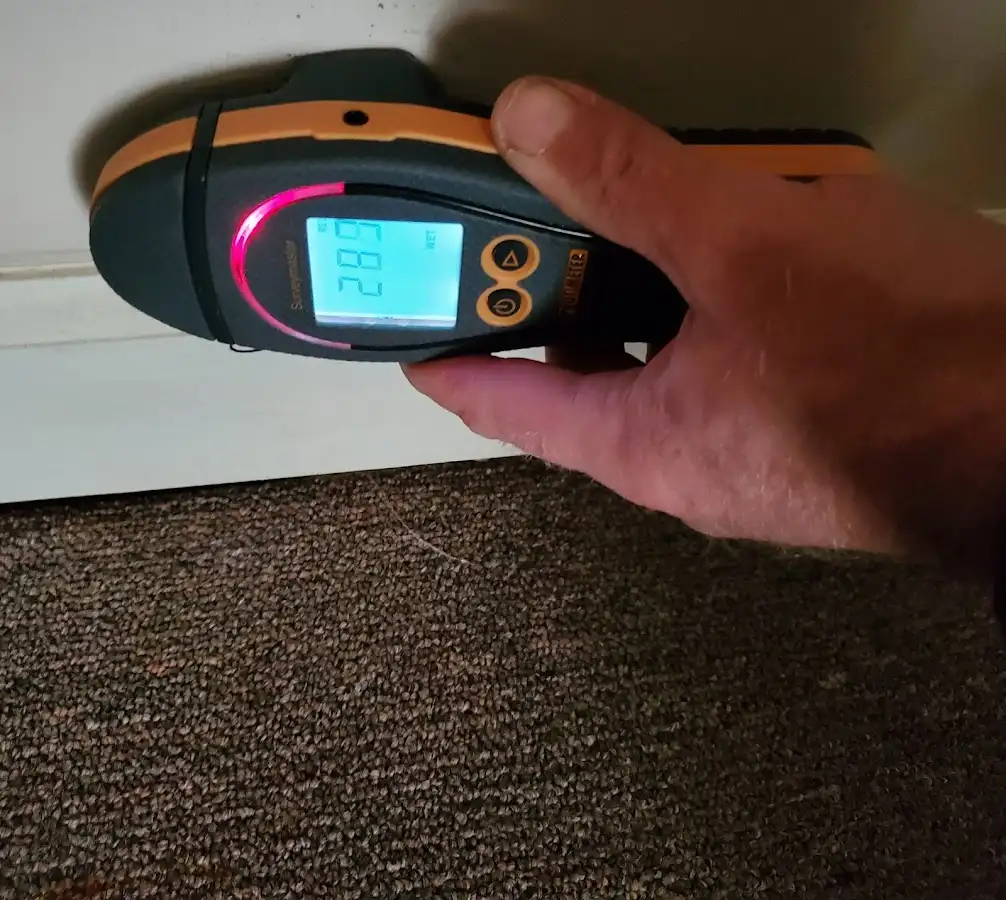 Moisture detection at baseboard during Sewage Cleanup & Sanitation in Sheboygan Falls